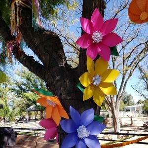 Meet your Posher, Janice